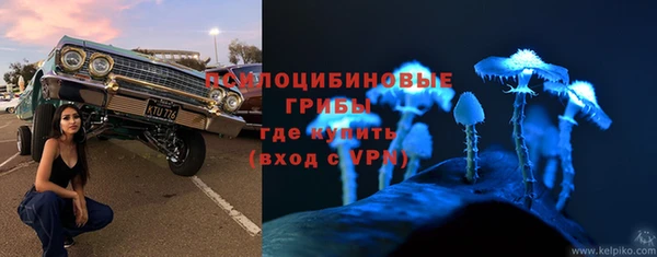 дурь Алзамай