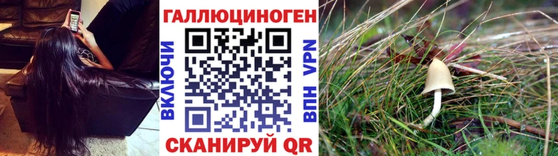 Псилоцибиновые грибы мицелий  Протвино 
